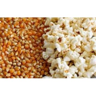 Gaziantep Popcorn Mısır